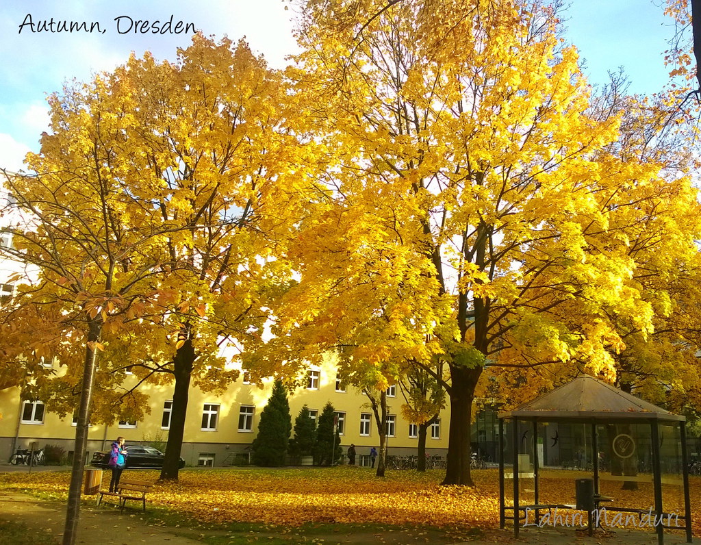 Autumn colors | Autumn in Dresden, Germany | Klikks | Flickr