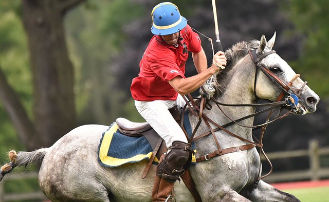 Going for the Shot - Polo at Bethpage Park