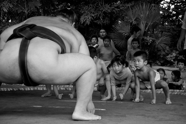 Mini Sumo Wrestlers