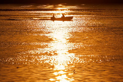 travel sunset costa sun sol water entreríos backlight river contraluz atardecer boat fishing peace view paz puestadesol canoa tranquilidad airelibre serenidad