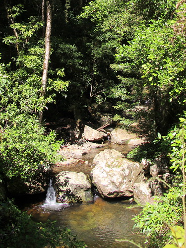 water creek landscape stream outdoor marowinbrook glencoecreek marowinflorareserve