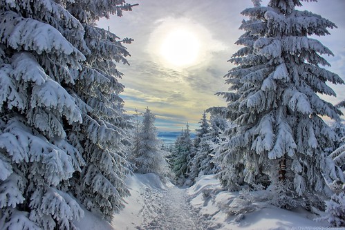 Winter in Owl Mountains / Zima w Górach Sowich | by veli-plan