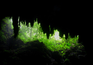 Camuy Caves  Puerto Rico