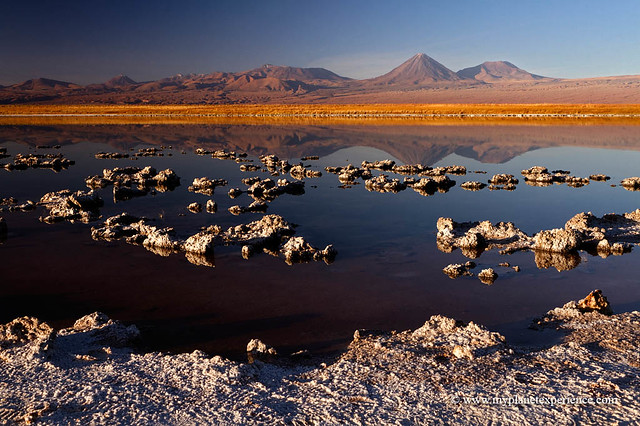 Laguna Cejar - Salar de Atacama, Chile