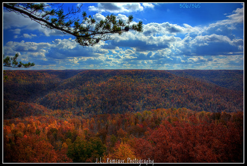 blue sky orange fallleaves sun sunlight fall nature yellow clouds landscape outdoors photography photo nikon tennessee fallcolors bluesky pic photograph daytime thesouth 365 sunrays overlook hdr cumberlandplateau whiteclouds beautifulsky sunglow scenicview photomatix putnamcounty deepbluesky cookevilletn bracketed skyabove project365 middletennessee 2013 hdrphotomatix hdrimaging 365daysproject 365project 365photos ibeauty southernlandscape 306365 hdraddicted allskyandclouds d5200 southernphotography screamofthephotographer hdrvillage jlrphotography photographyforgod worldhdr nikond5200 hdrrighthererightnow engineerswithcameras hdrworlds god’sartwork nature’spaintbrush jlramsaurphotography 1yearofphotographs 365photographsinayear 1shotperdayfor1year