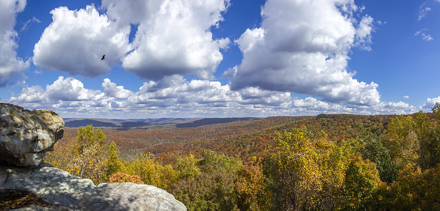 Rocking Rock panorama, White Co, TN