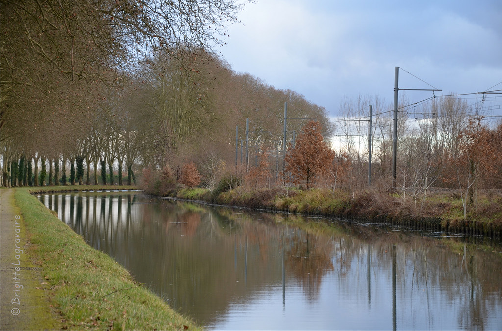 Le canal sous le soleil d'hiver