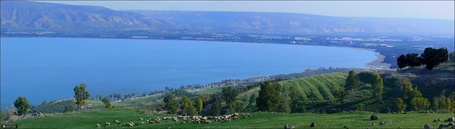 Kinnereth - Sea of Galilee (Panorama)