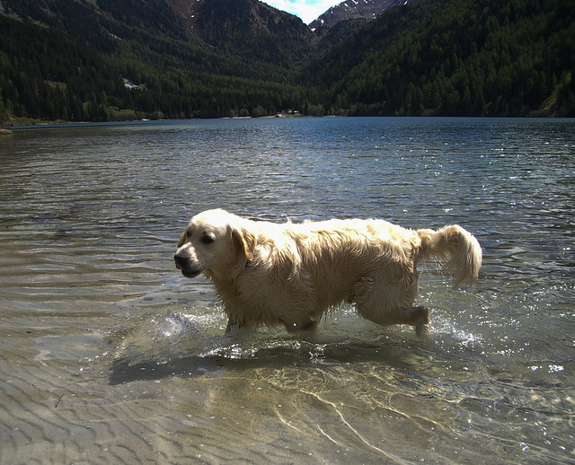 Lasse in the icecold mountain lake in Antholz