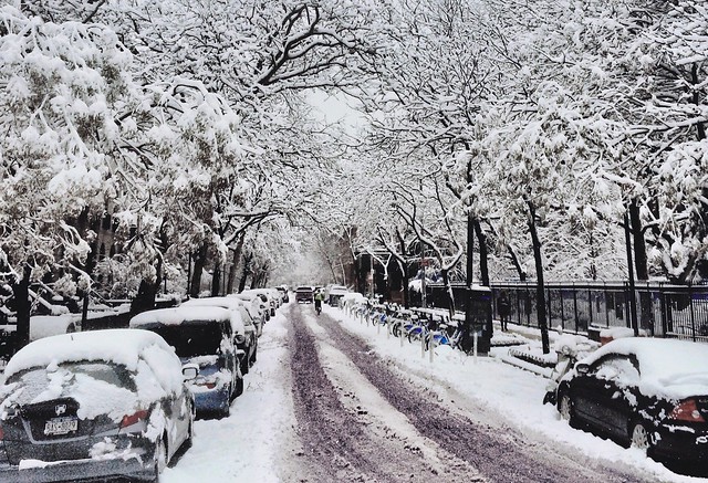 ... pure as New York snow - Chelsea, New York City