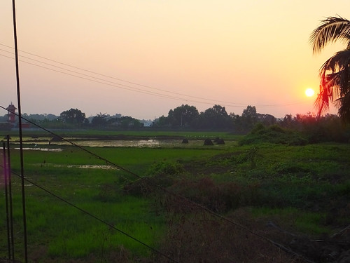 Sunset over the field, Kerala backwaters, India by fam_nordstrom, india kerala indien bharat 2014