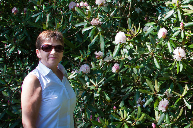 Sherry and Rhododendron Bush