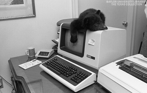 Baylor Bear Mascot Grady on Computer, 1984 (2)