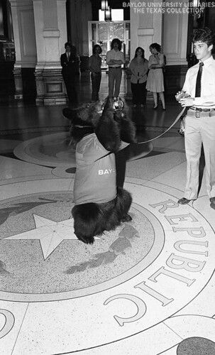 Texas Governor Mark White and Baylor Bear mascot (5)