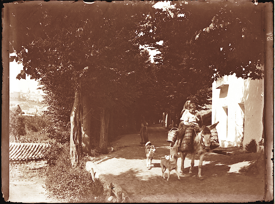 Niños en una olmeda con Toledo al fondo hacia 1910. Fotografía de Pedro Román Martínez (c) JCCM, AHP, Fondo Rodríguez. Signatura R-129-2-05