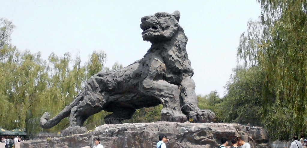 Beijing Zoo China 2014