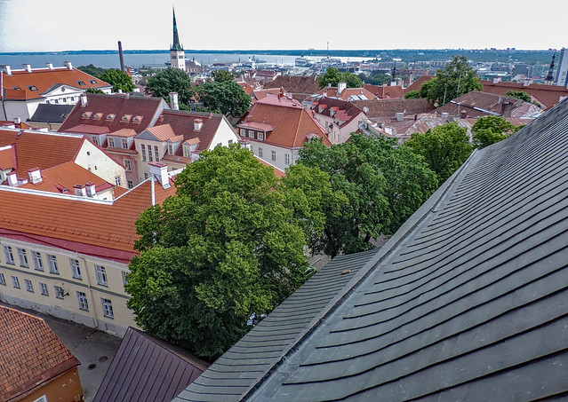 City view from St. Mary's Cathedral, Tallinn