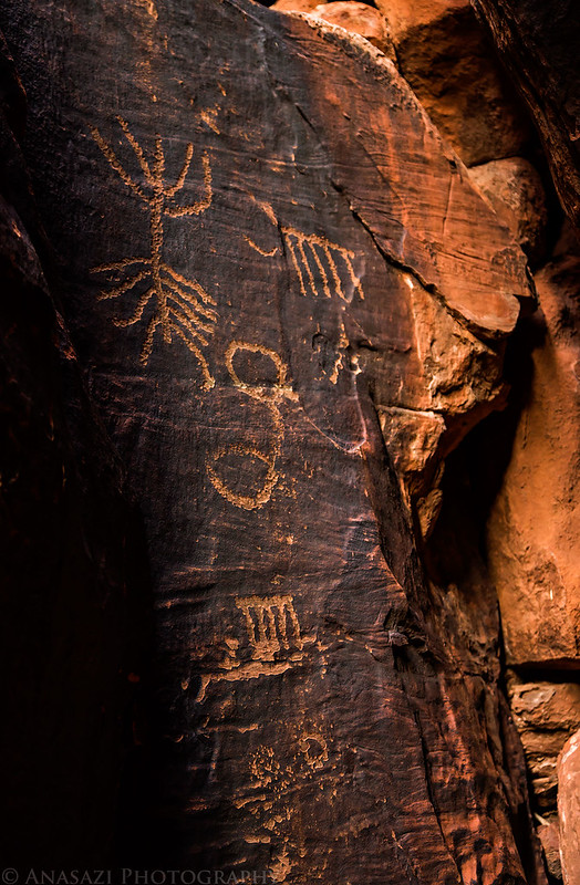 Hidden Petroglyphs