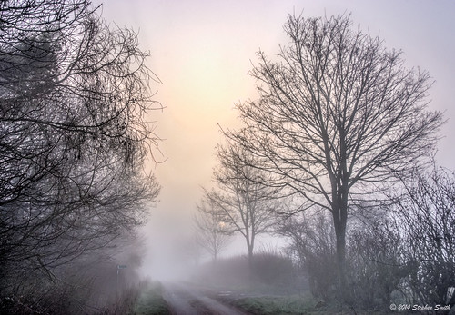 uk trees england mist colour sunrise landscape dawn march countryside spring nikon scenery pastel northamptonshire earlymorning countrylane hdr 2014 hedgerows grangeroad d80 geddington