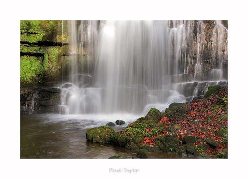 november leaves waterfall yorkshire settle scaleborforceyorkshiredales