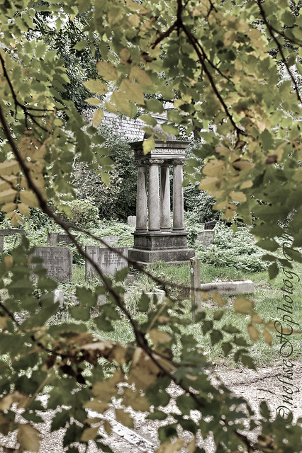 Abney Park Cemetery ~ Hackney