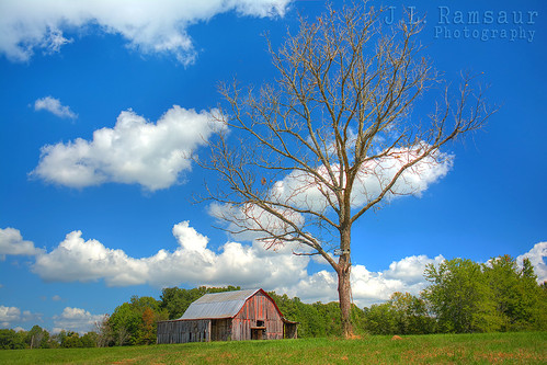 Rural America  - Putnam County, Tennessee by J.L. Ramsaur Photography, Taking a ride during my lunch break from work and I find a perfectly set 'rural scene' just a few mi