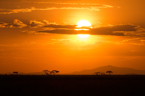 Amboseli NP, Landscapes, Savannah, Sunset or Sunrise131123 by Peter R Steward, Anna-Marie Vickerstaffsky landscapes kenya savannah habitats 6places amboselinp 4environment sunseto