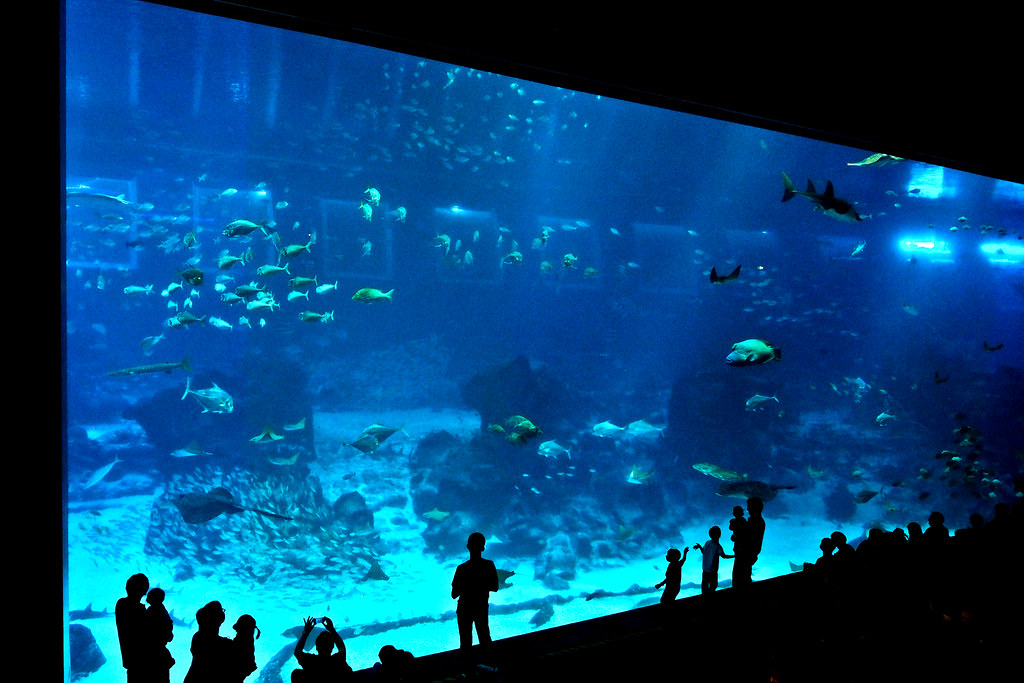 海洋水族馆 S.E.A. Aquarium