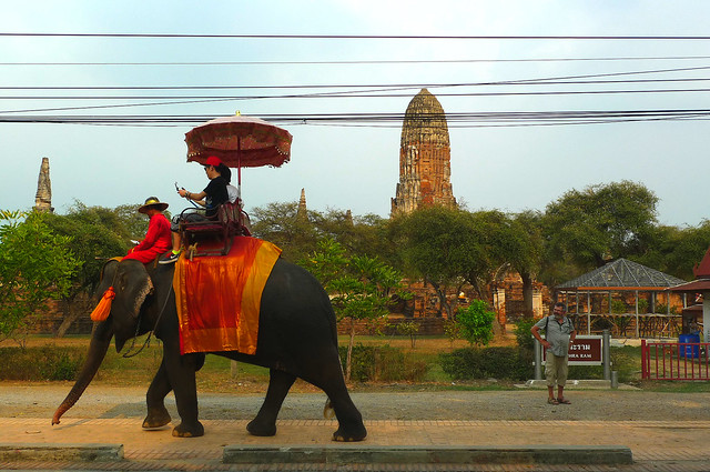 Elephant Tour - Ayutthaya, Thailand