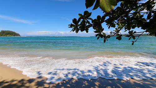 Hanalei Bay Beach, Hanalei (502847)