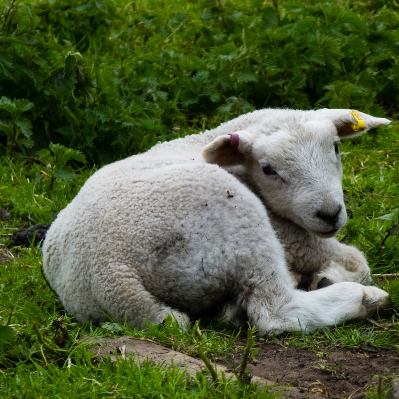 It's tiring being young