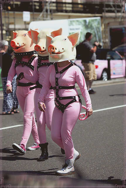 Brighton Pride Community Parade 2015: Bad piggies, no roast beef !