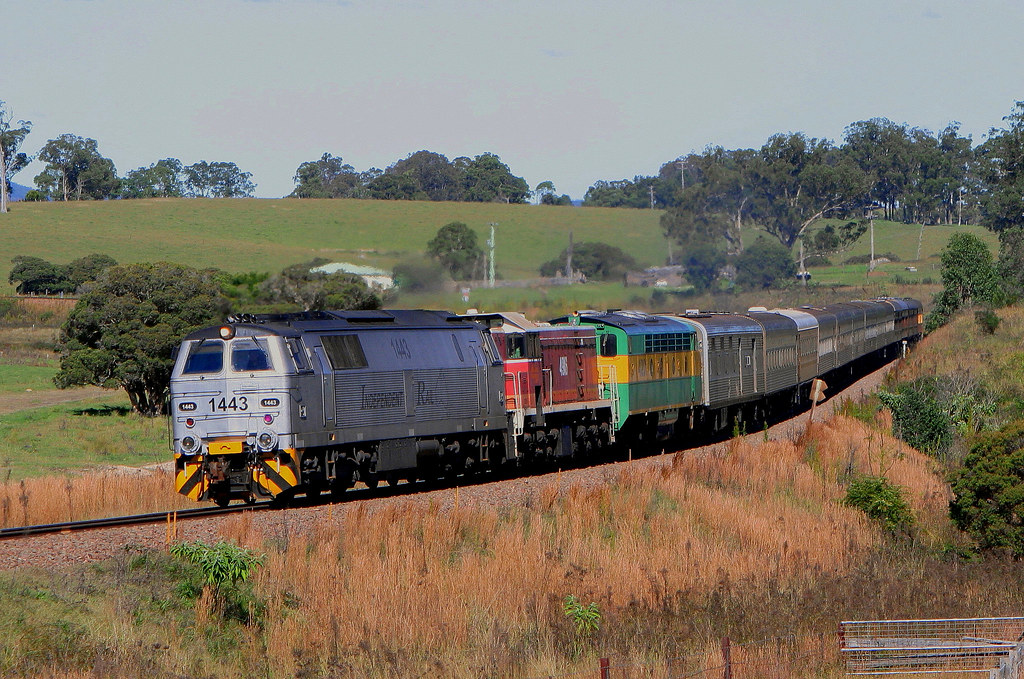 MZ1443 + 4916 + 4201. SPECIAL PASSENGER WARDS RIVER 19th M… | Flickr