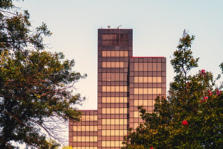 Flickr photo: Morning Tower