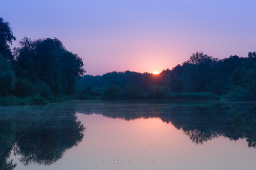 enkheim frankfurt enkheimerried naturschutzgebiet nsg reserve water wasser morning sunrise light see lake quite peaceful peace gewässer sonnenaufgang friedlich