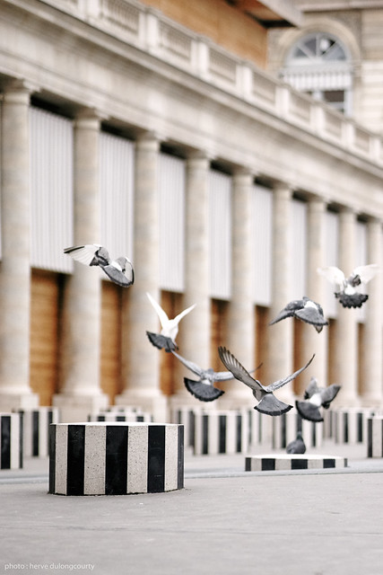 Daniel Buren : Les Deux Plateaux #1. Pigeons flight.