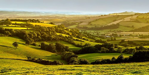 Devon Evening Light by Doolallyally, The Exe Vallley.hills devon light day view landscape exevalley silverton theexevalley countryside en