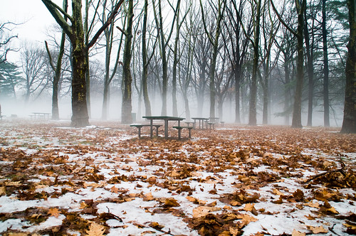 park trees winter usa mist snow nature leaves weather fog nj atmosphere picnictables bloomfield newjersey seasons brookdalepark unitedstates wideangle 18200mmf3563 nikond300 landscapeorientation photography photo