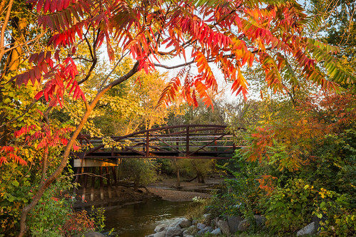 lcfpd lake county forest preserve department independence grove fall des plaines river desplainesriver independencegrove lakecountyforestpreservedepartment jeffgoldbergphotography