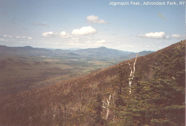 view from Algonquin Peak