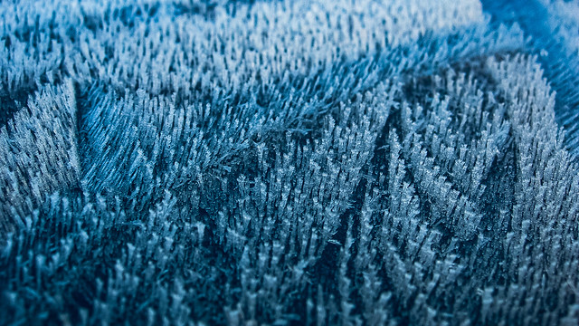 Frost on roof of my car (ii)
