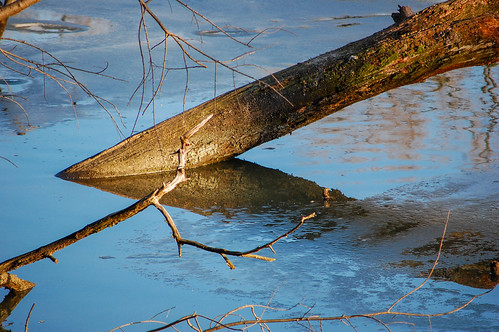Back Creek Nature Park in Anne Arundel County, Md. | by chesbayprogram