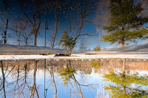 blue trees winter sky usa snow reflection nature water beautiful weather puddle cool colorful nj wideangle evergreen inverted curb hackensack parkinglot city color tree reflections seasons unitedstates upsidedown universityplaza landscapeorientation 1020mmf456 nikond300 photography photo