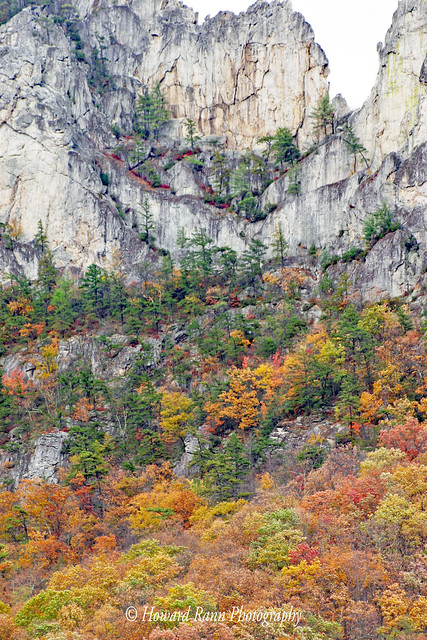 West Virginia Mountains (15)