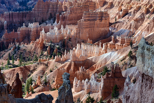 BRYCE CANYON by AlCapitol, brycecanyon hoodoo canyon park nikon d800 nikond800 utah nationalpark usa usawest etatsunis usacôteo
