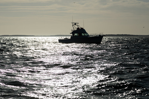 Rod and Reef Slam at Harris Creek in Talbot County, Md. by chesbayprogram, The Rod and Reef Slam fishing tournament is held on the Choptank River on Oct. 7, 2017. The tourname