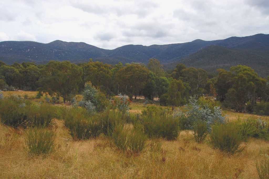Brindabella Ranges | These ranges lie to the west of Canberr… | Flickr