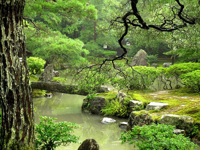 Japanese garden in a rainy day