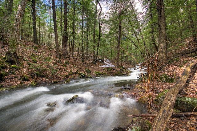 Woods Rive Spring River in the Woods | Eric | Flickr