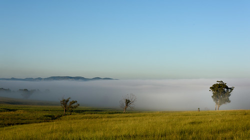 afsnikkor24120mmf4gedvr nikon ingress australia 2016 nsw landscapephotography country landscape newsouthwales jasonbruth subject nikond810 rural d810 fog denman travels